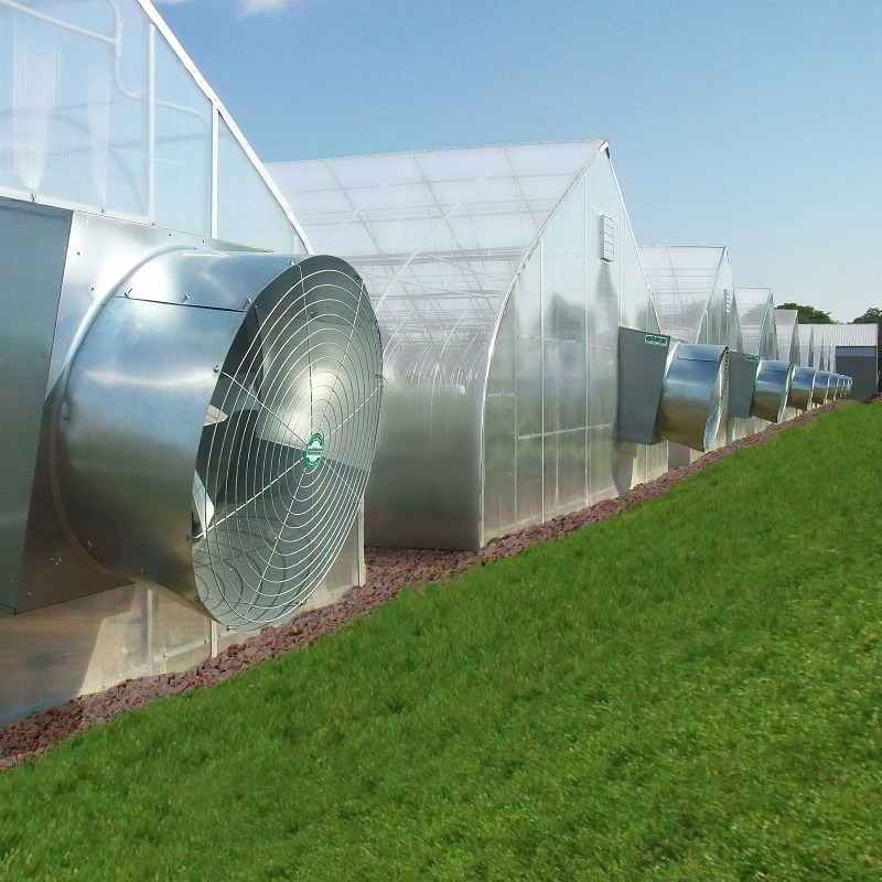 温室植物用高速小型産業排気ファン、耐久性のある軸流ファン、高 - Exhaust Fan Industrial のレビューと価格